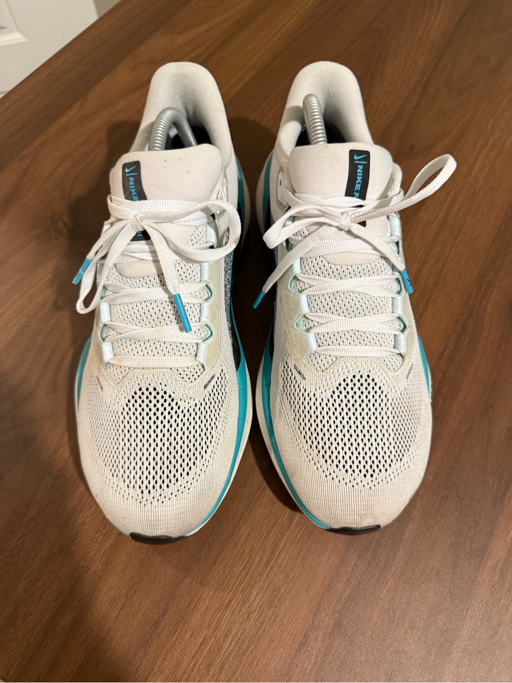 Nike Air Zoom Pegasus 41 'White Dusty Cactus'